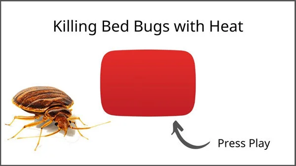 Can Bed Bugs Live in Outdoor Furniture? Shocking Truth Revealed!