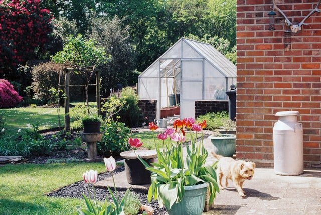 How To Dog Proof Garden Flower Beds, Keep Dogs Out Of Garden Sign