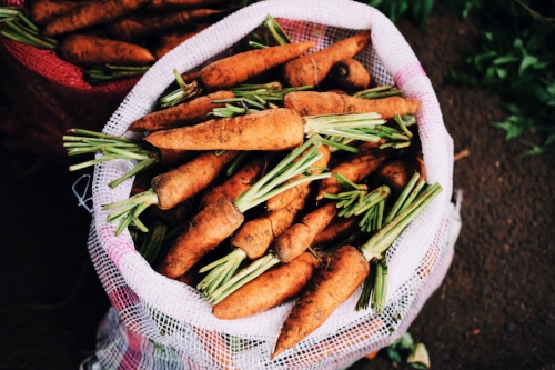 Bag of fresh carrots with stems