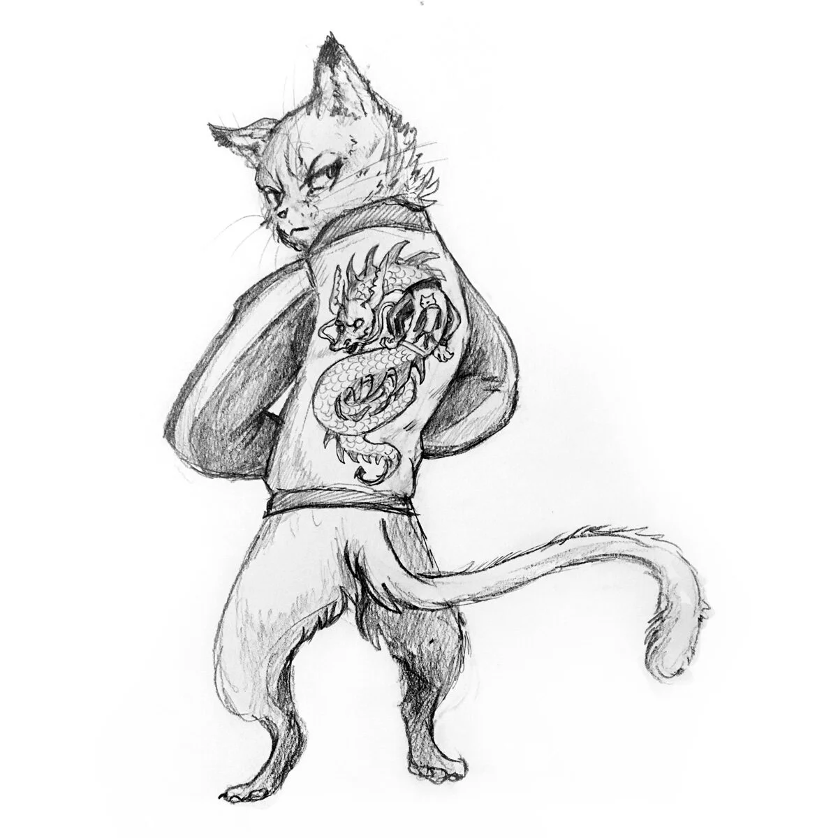 CatJacket1.jpg