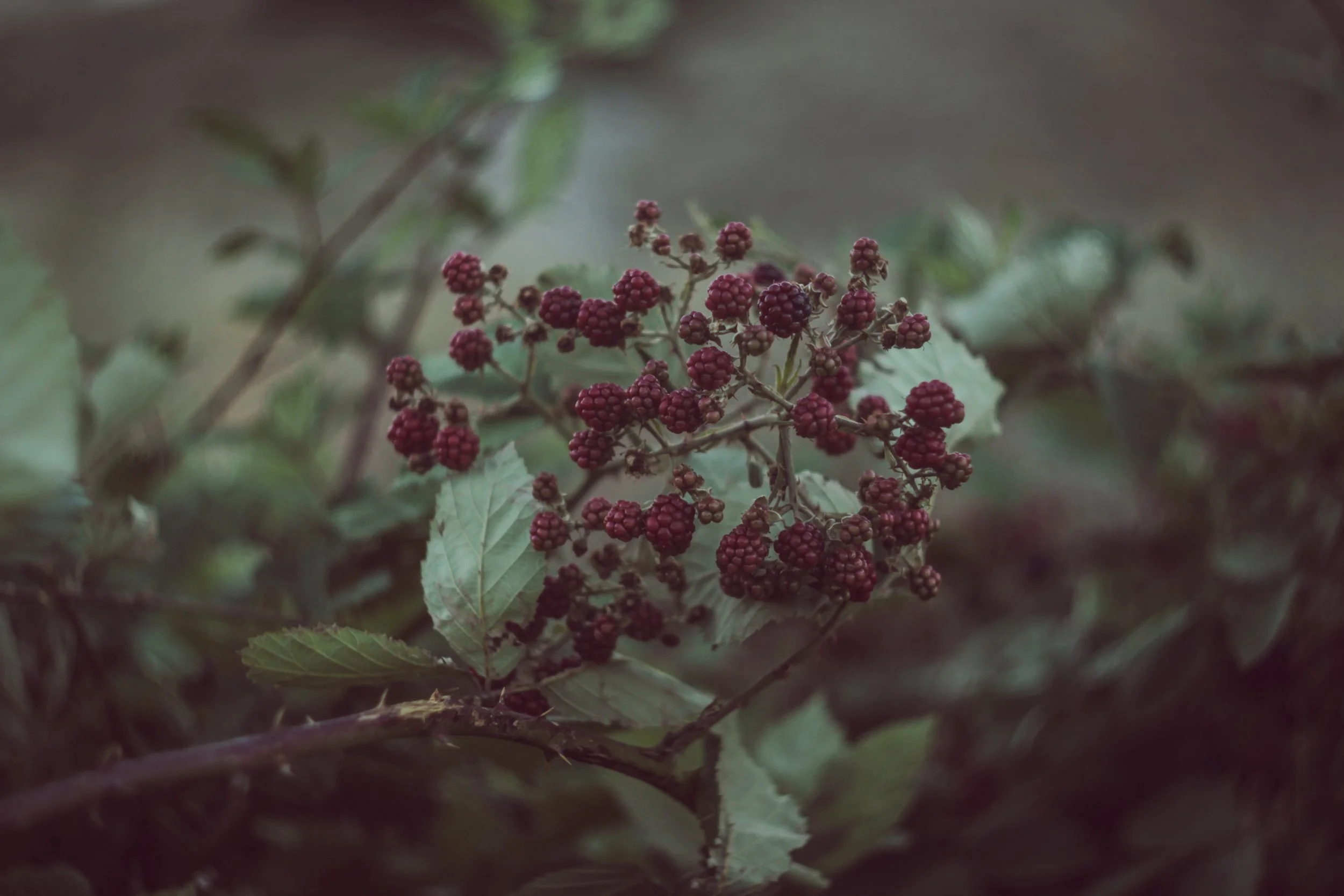 Photo by Alina Chupakhina on Unsplash