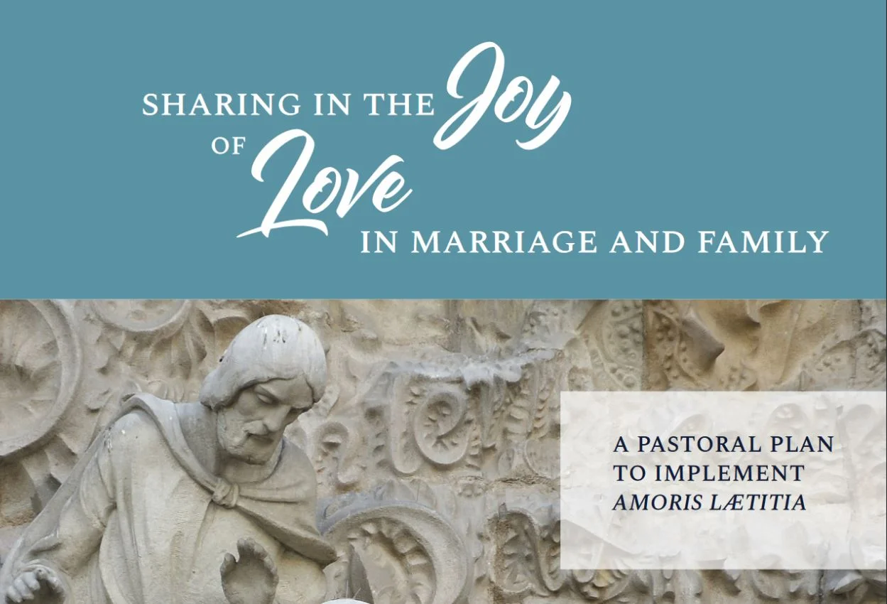Cardinal Wuerl’s ‘Amoris’ Guidelines Bring Clarity, but Confusion Remains