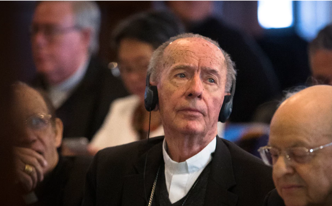 The Amazon synod organisers are at odds with Pope Francis