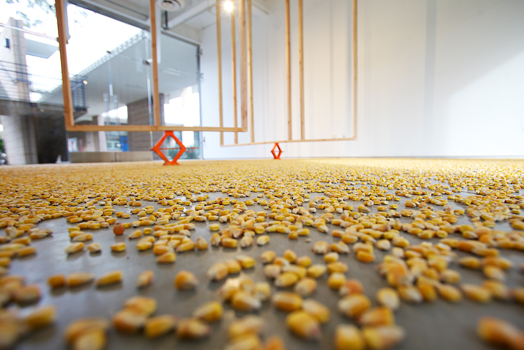 Flexible Necks, 2015 Dimensions variable 2 x 4s, jacks, corn, time release corn feeder Installation view: "Flexible Necks" at UCSB Glassbox Gallery, Santa Barbara CA