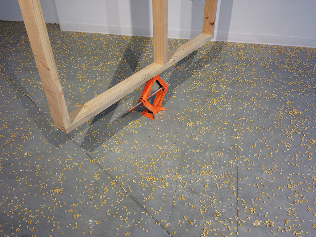 Flexible Necks, 2015 Dimensions variable 2 x 4s, jacks, corn, time release corn feeder Installation view: "Flexible Necks" at UCSB Glassbox Gallery, Santa Barbara CA