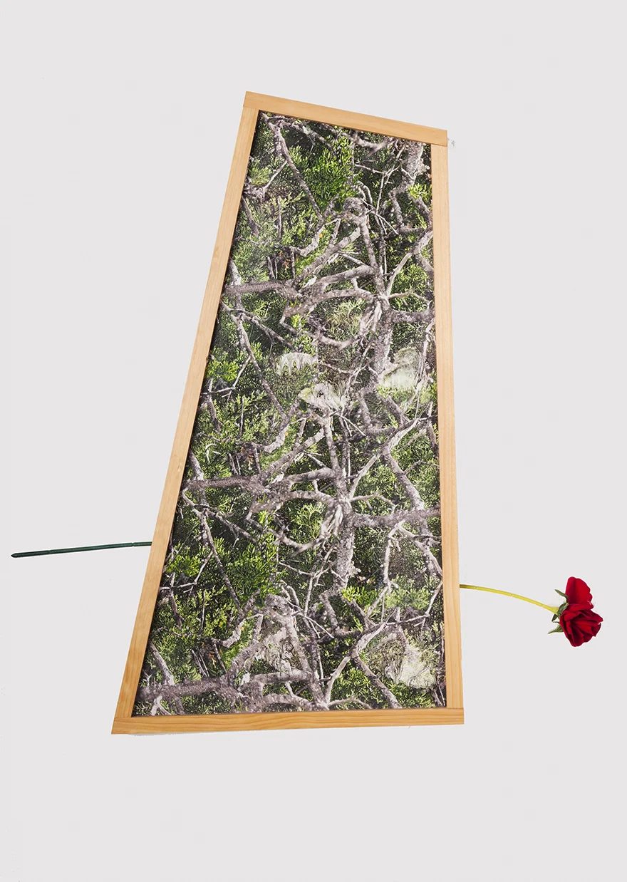  Untitled, 2016 Hydrodipped panel, faux flower, artist’s frame 