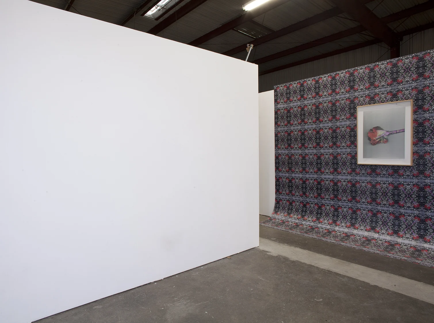   Quick and endless 2 , 2017 108 x 204 x 28 inches Inkjet prints on masonite, lightjet type c print, artist's frame  Installation view: "Illuminating Threads" at Dalton Warehouse, Los Angeles CA 