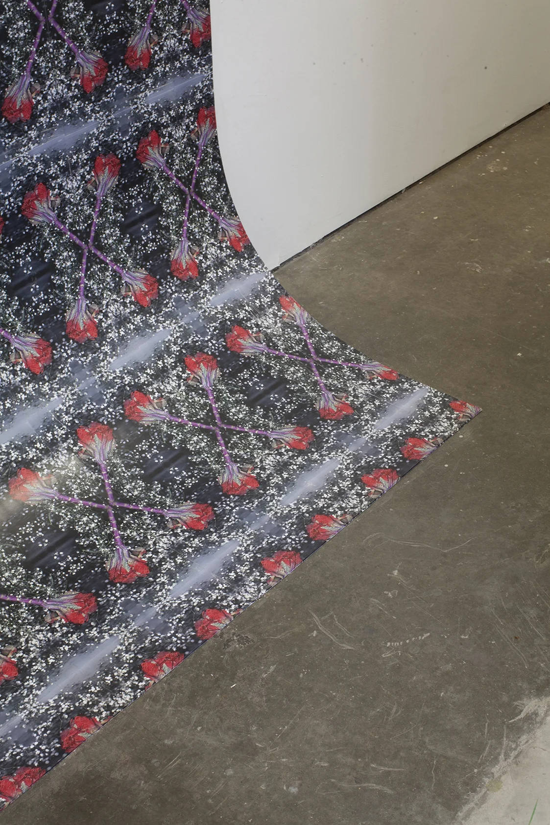   Quick and endless 2 , 2017 108 x 204 x 28 inches Inkjet prints on masonite, lightjet type c print, artist's frame  Installation view: "Illuminating Threads" at Dalton Warehouse, Los Angeles CA 