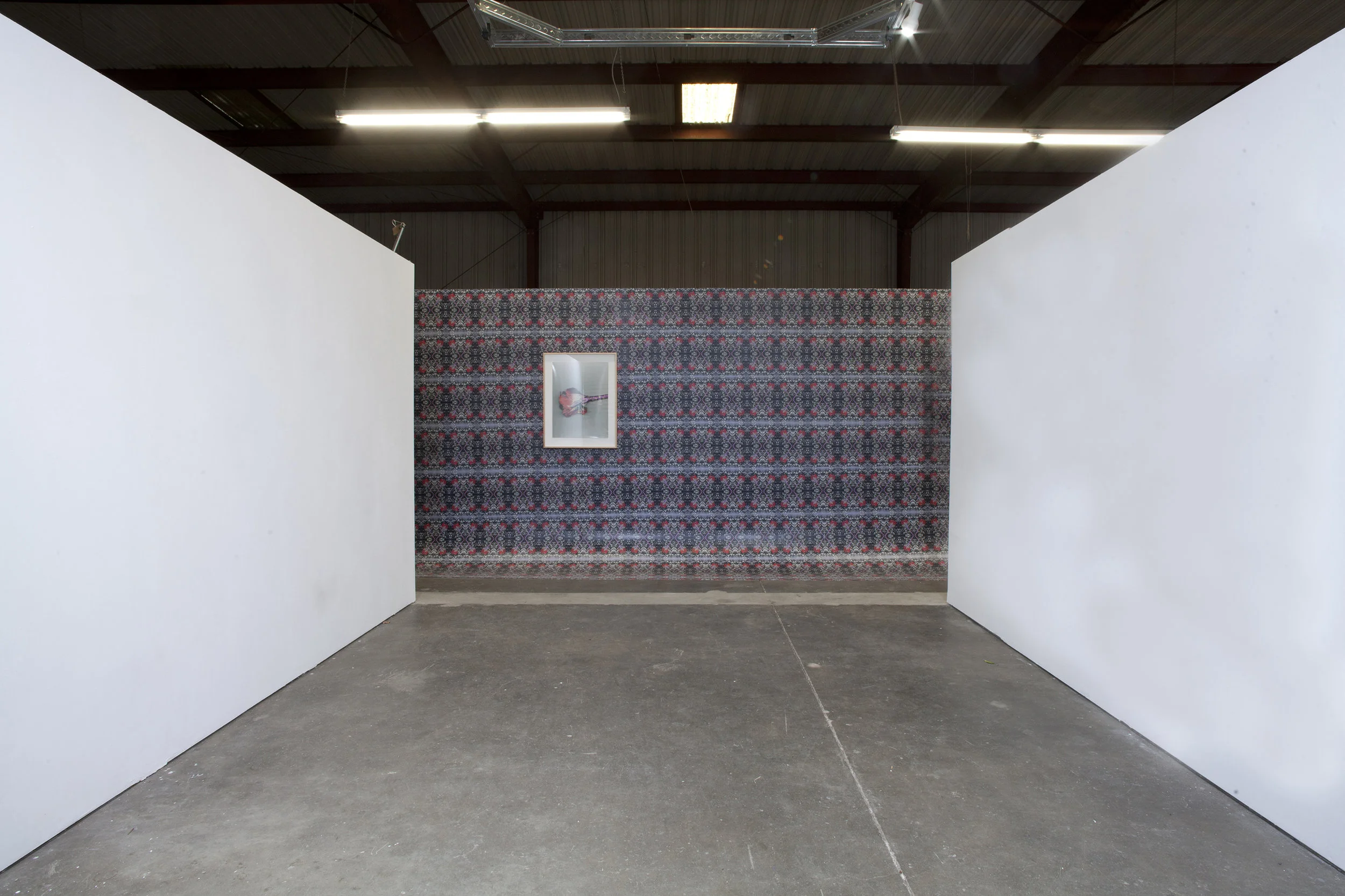  Quick and endless 2 , 2017 108 x 204 x 28 inches Inkjet prints on masonite, lightjet type c print, artist's frame  Installation view: "Illuminating Threads" at Dalton Warehouse, Los Angeles CA 