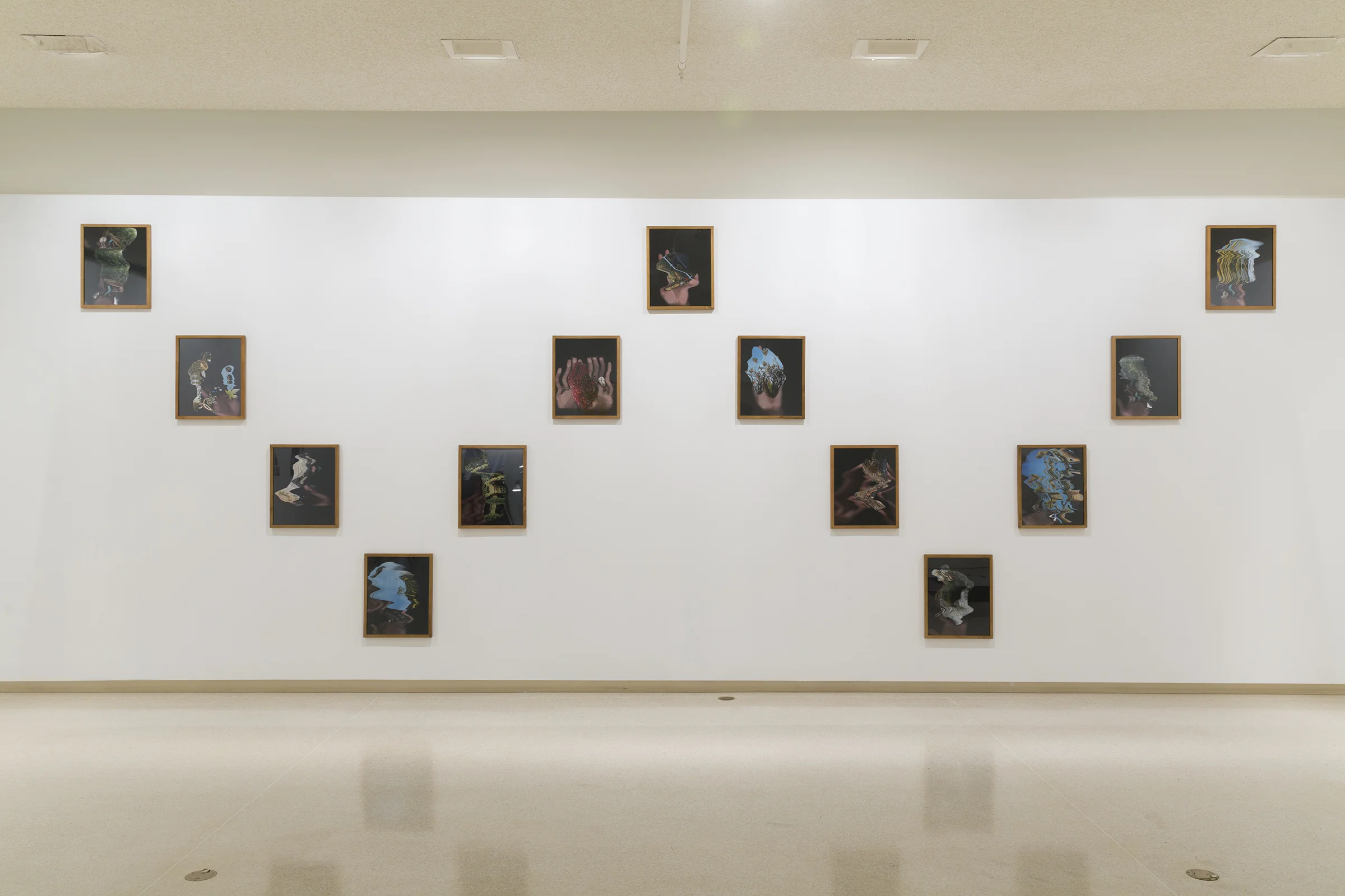 Bent 1-13 , 2018 20 x 16 inches Silver halide archival print, artist frame Installation view: "Garden Variety" at the Brand Library and Art Center, Glendale CA