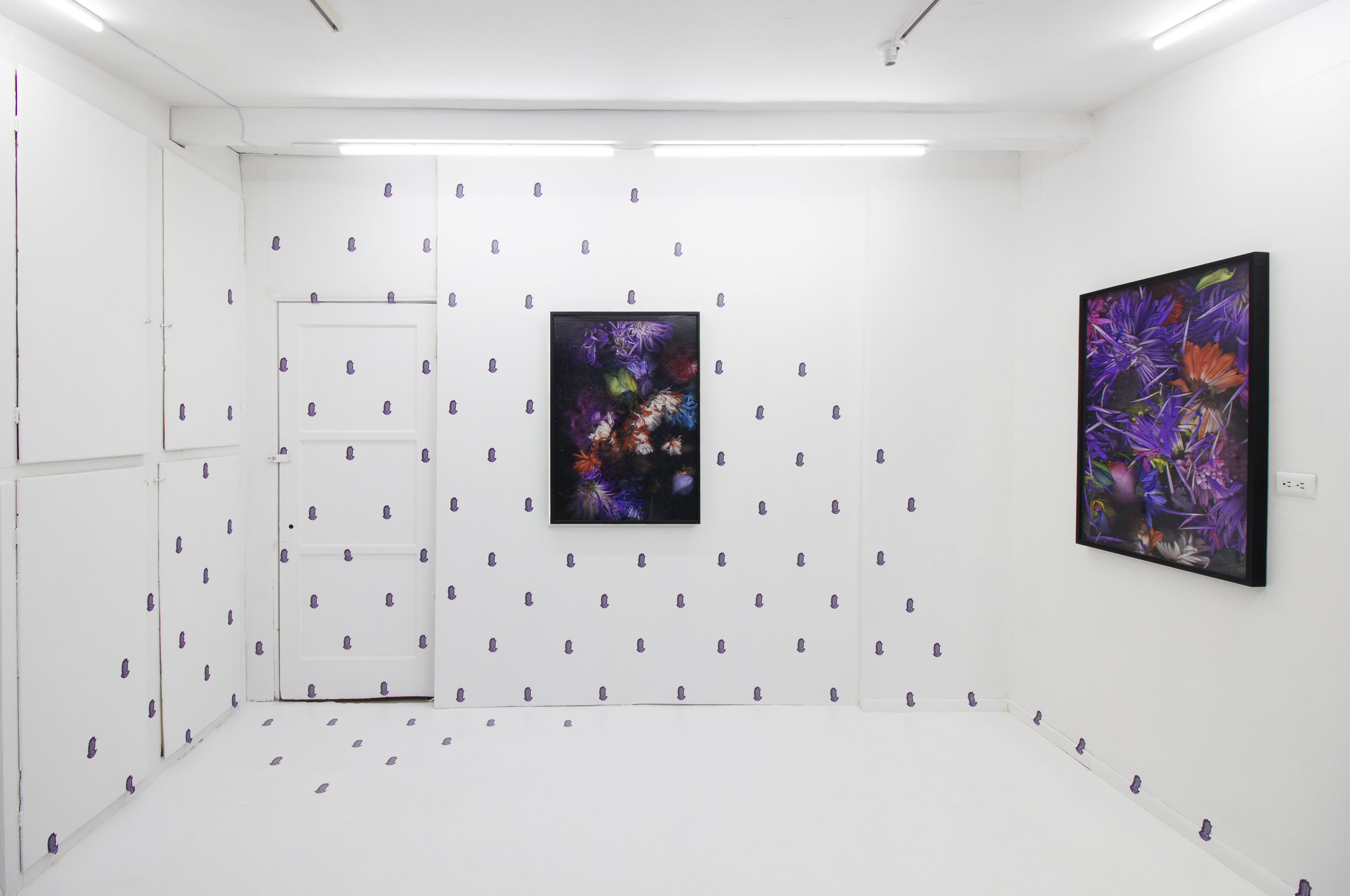  Quick and Endless, 2018Silver halide archival print, artist frames, wall vinyl  Installation view: "Quick and Endless" at off-site Ochi Projects, Los Angeles CA 