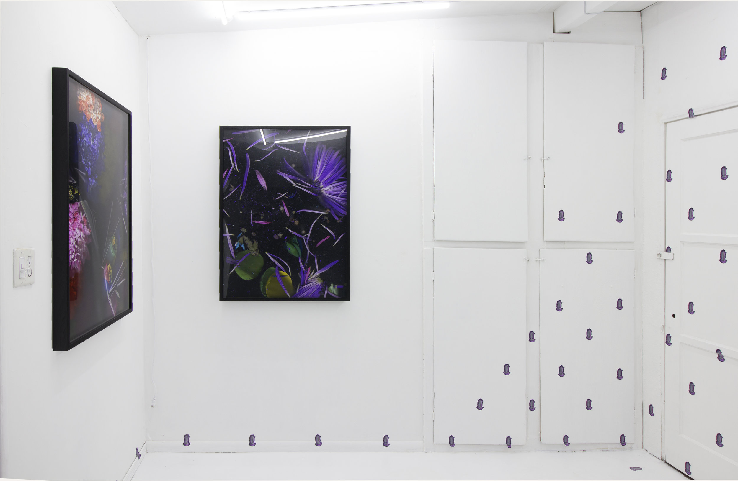  Quick and Endless, 2018, Silver halide archival print, artist frames, wall vinyl  Installation view: "Quick and Endless" at off-site  Ochi Projects , Los Angeles CA 