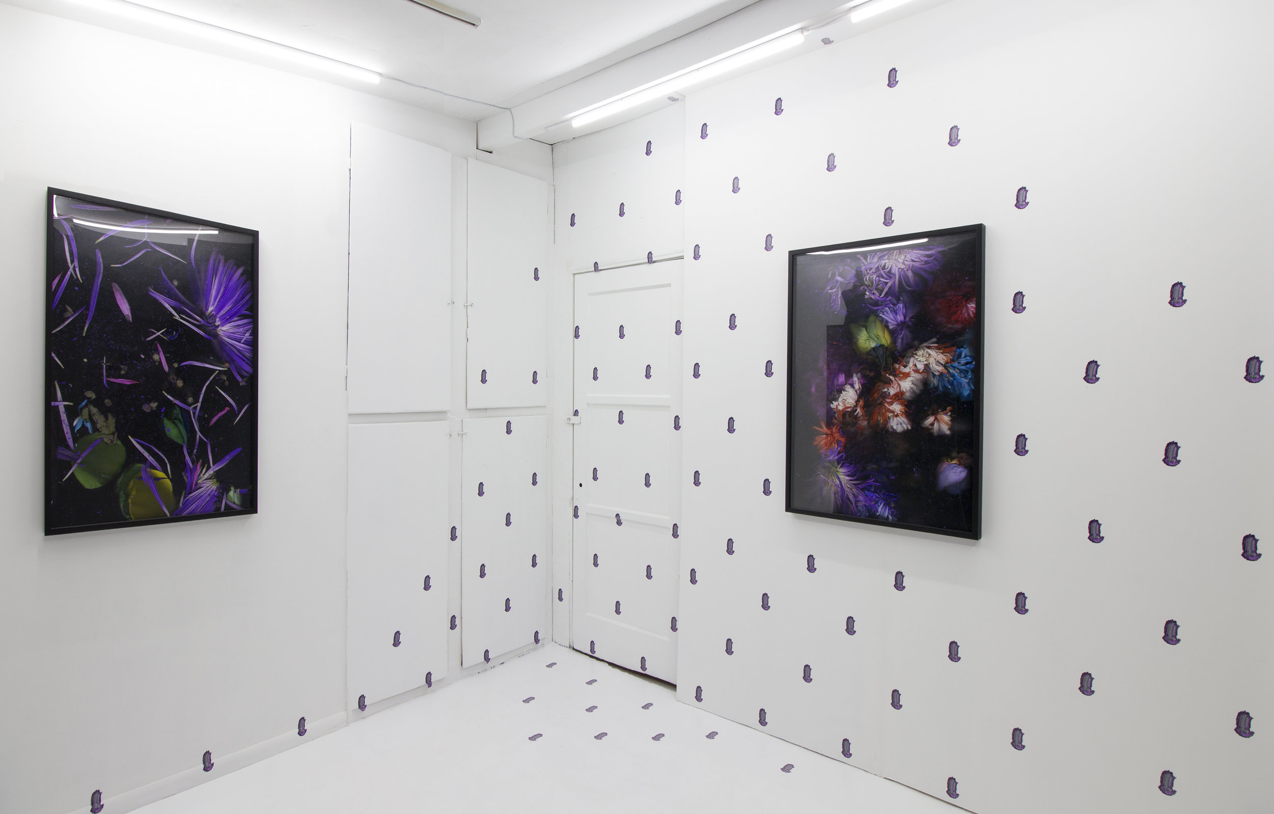  Quick and Endless, 2018Silver halide archival print, artist frames, wall vinyl  Installation view: "Quick and Endless" at off-site  Ochi Projects , Los Angeles CA 