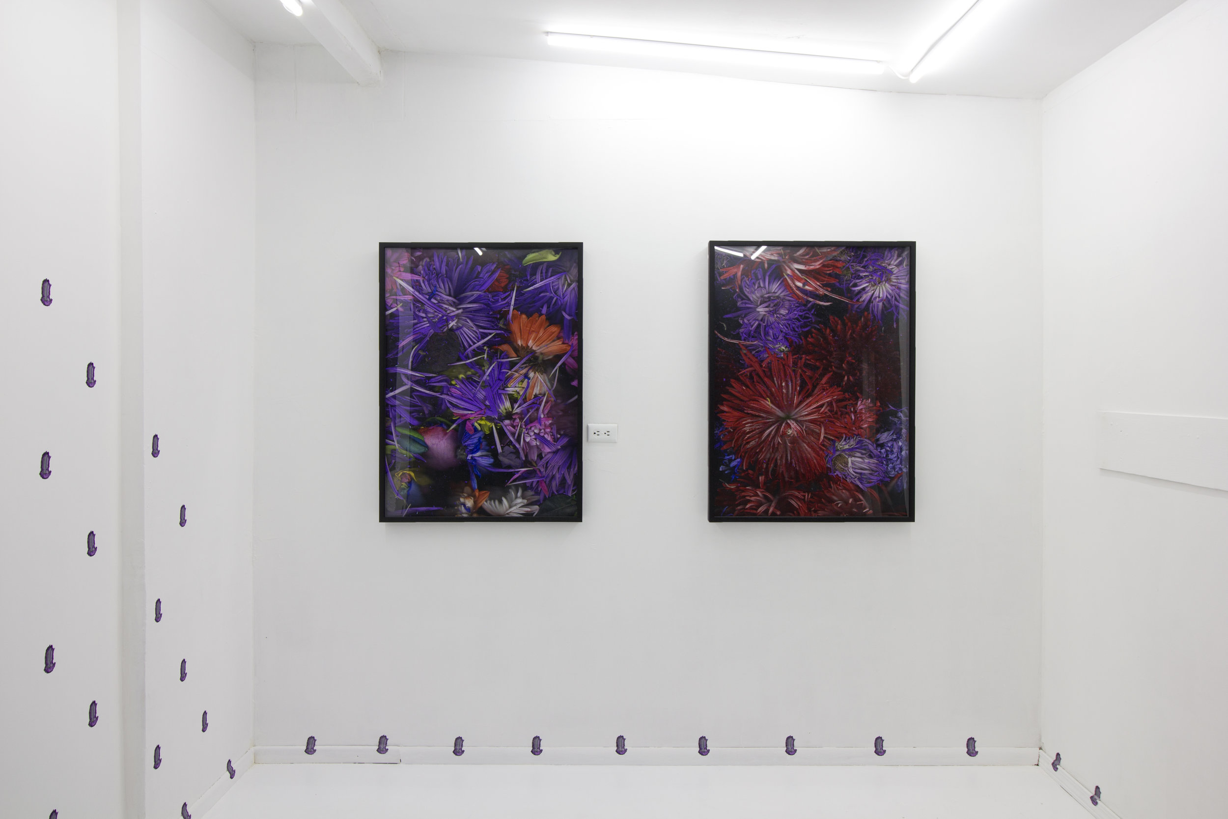  Quick and Endless, 2018, Silver halide archival print, artist frames, wall vinyl  Installation view: "Quick and Endless" at off-site  Ochi Projects , Los Angeles CA 