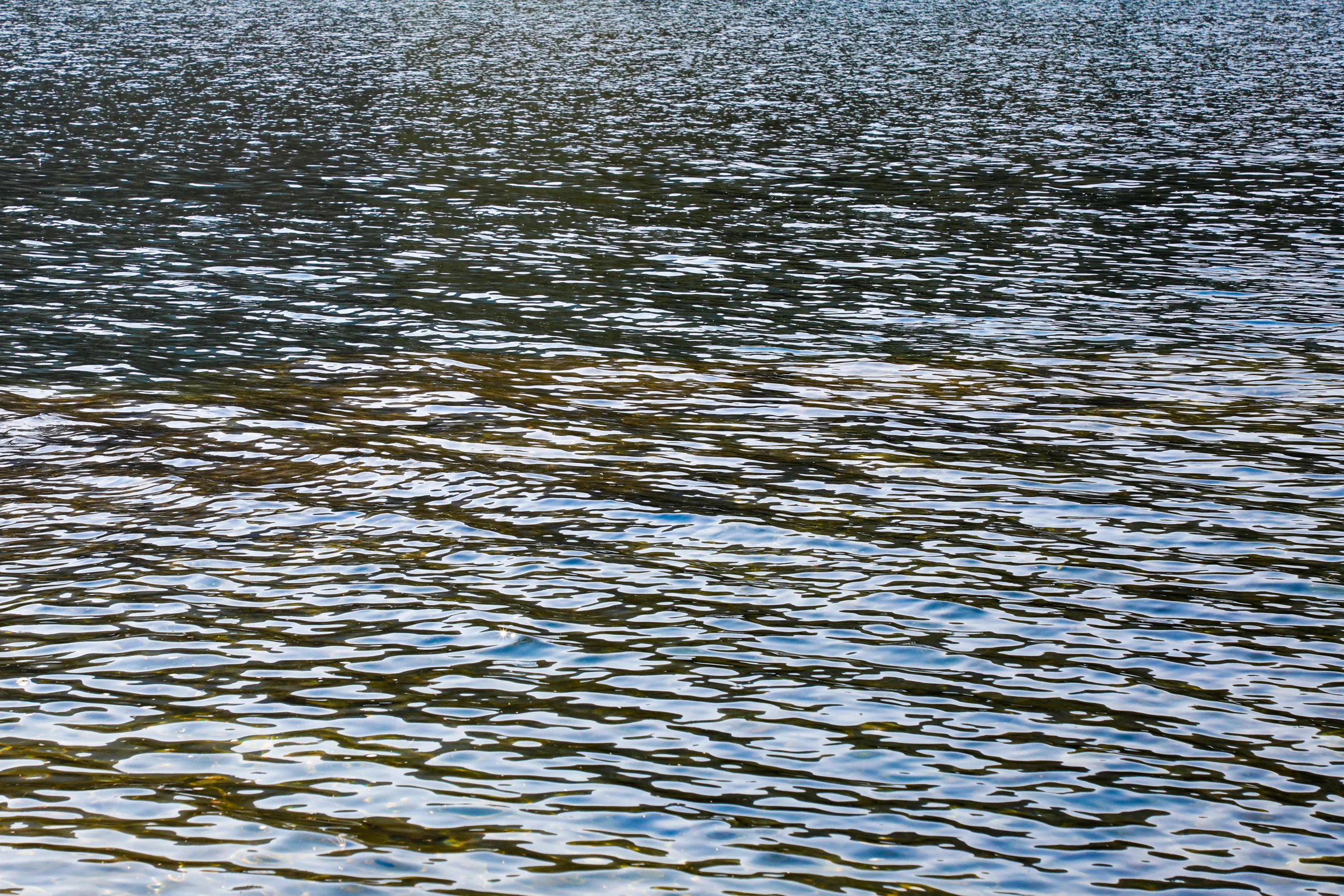 water-lg17-9332.JPG