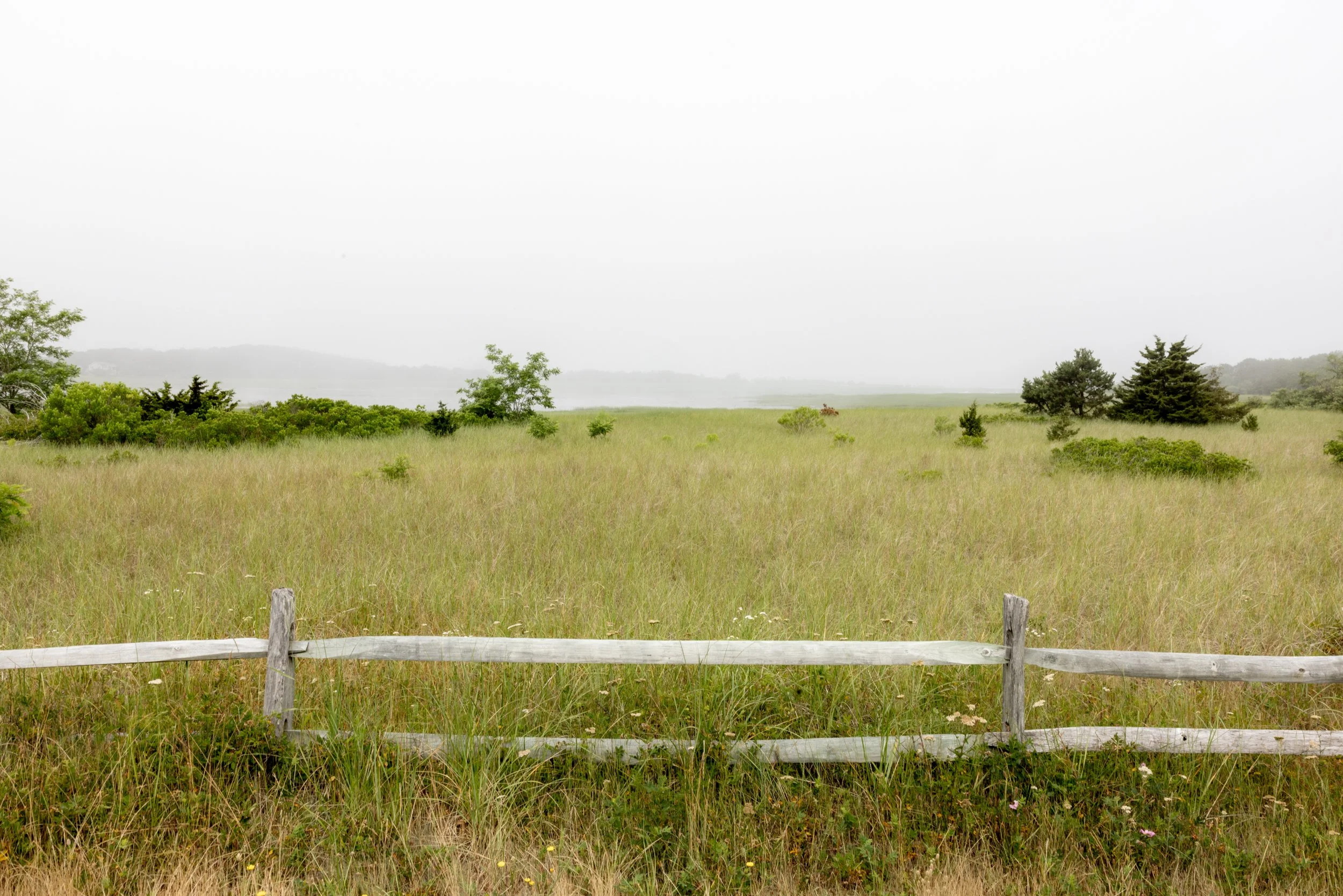 wellfleet Ma-5308.jpg