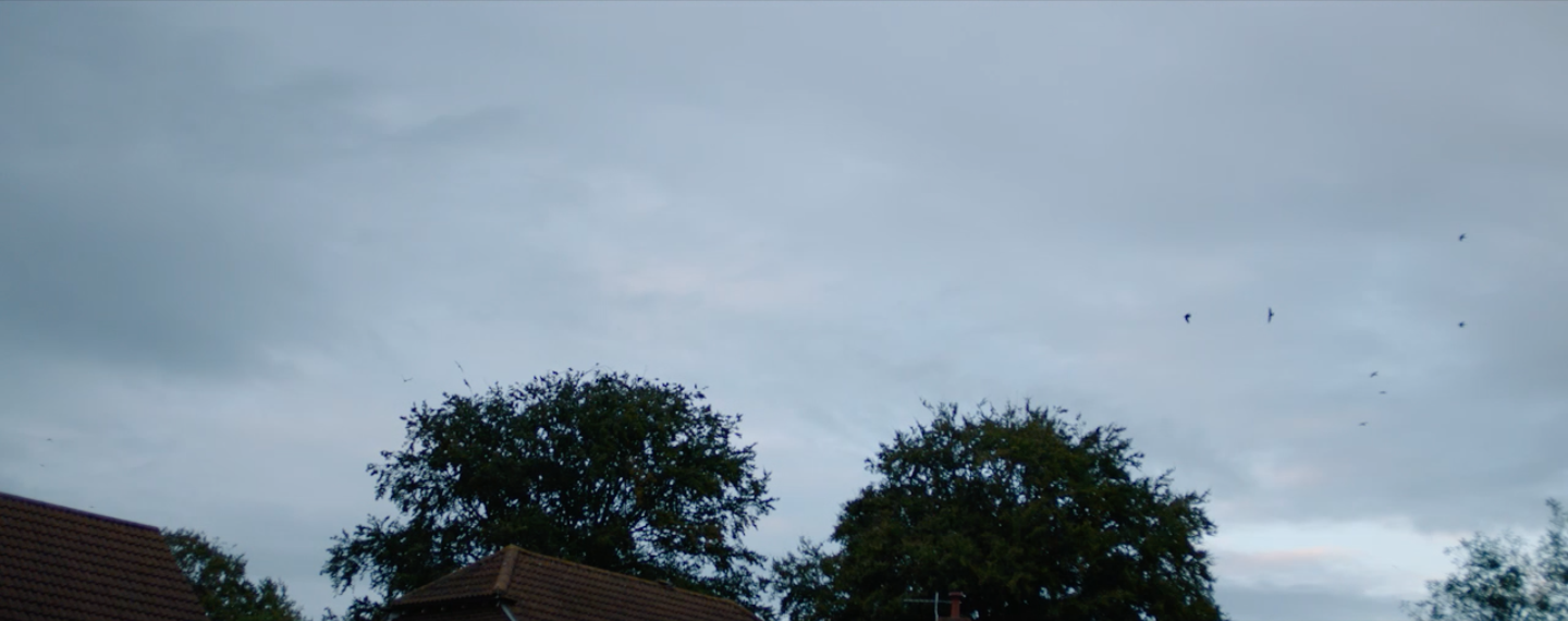 Screen Shot 2017-07-20 at 18.53.37.png