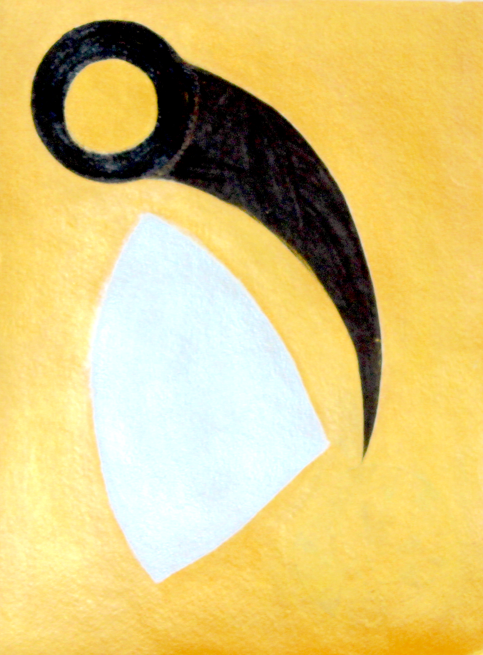 Yellow Splendor