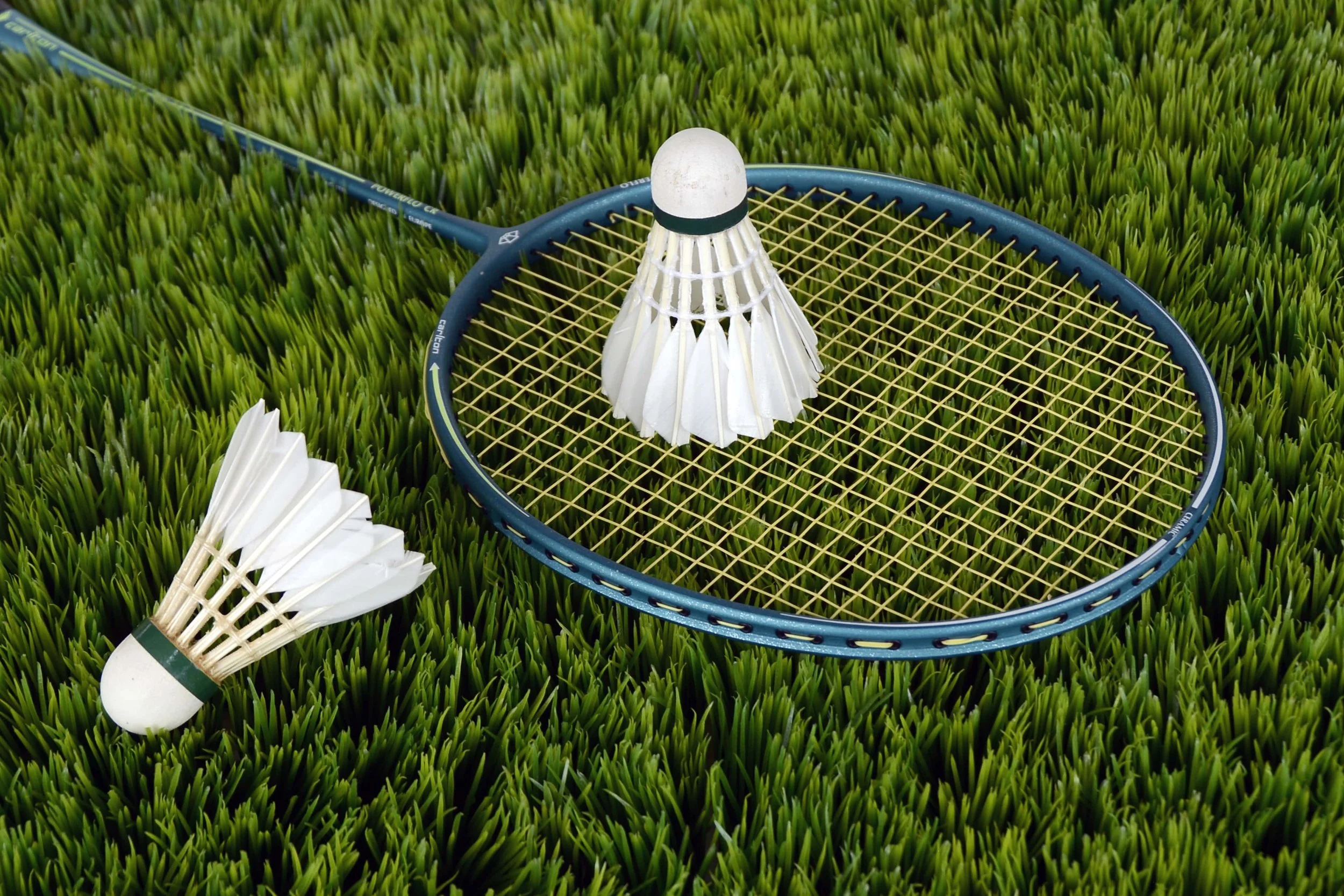 badminton-shuttle-sport-bat-115016-min.jpeg