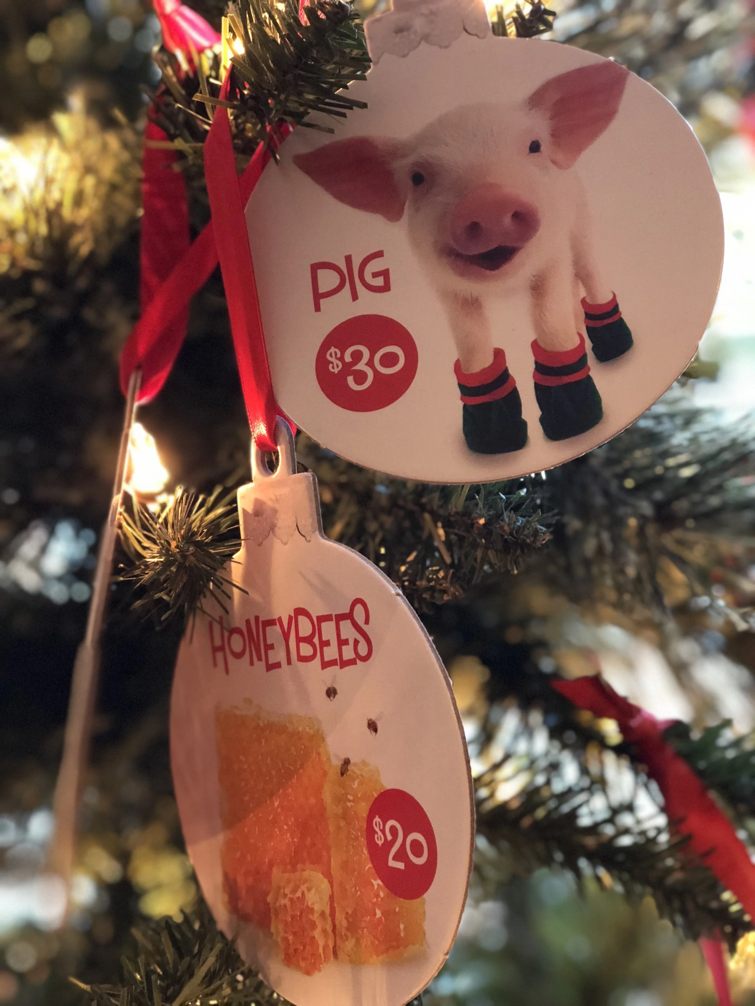 Reaching Out this Christmas