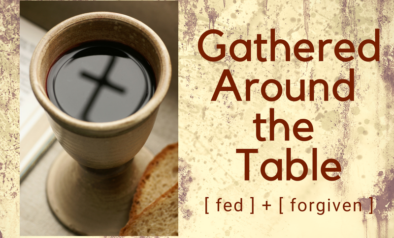 Small Groups Launching this Fall