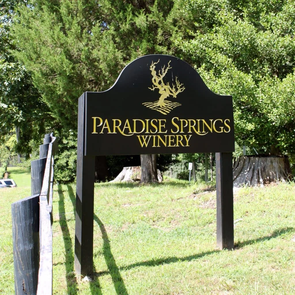 Adult Social at Paradise Springs Winery 