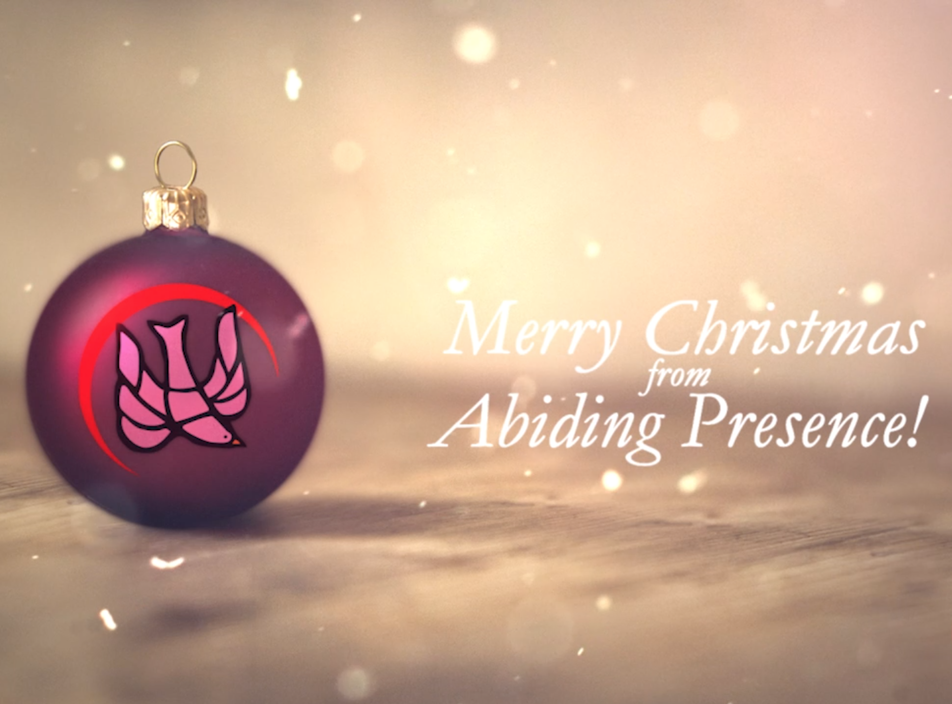 Christmas Day Snapshot Service