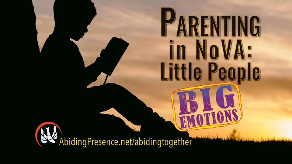 Parenting in Northern Virginia—BIG Emotions Edition