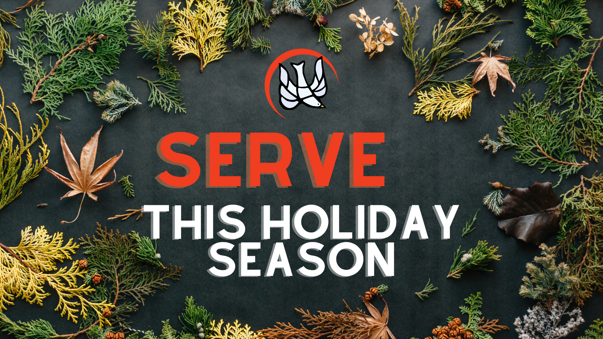 Ways to Serve this Holiday Season