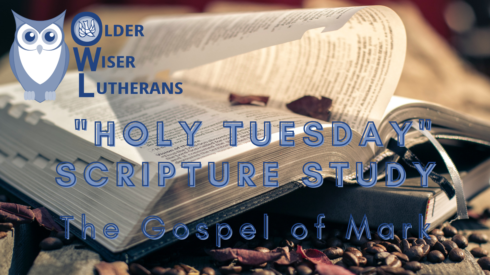 OWLs "Holy Tuesday" Scripture Study