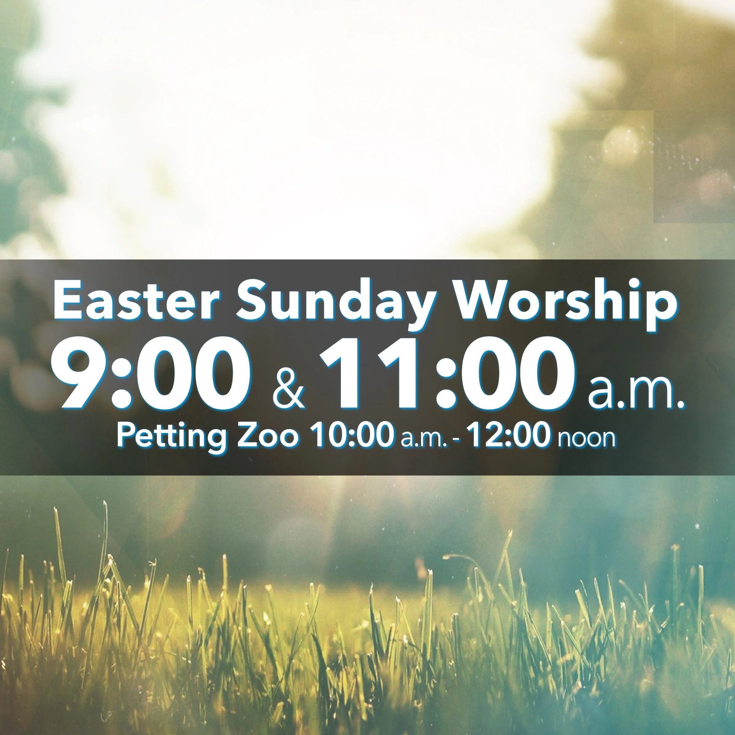 Easter at Abiding Presence
