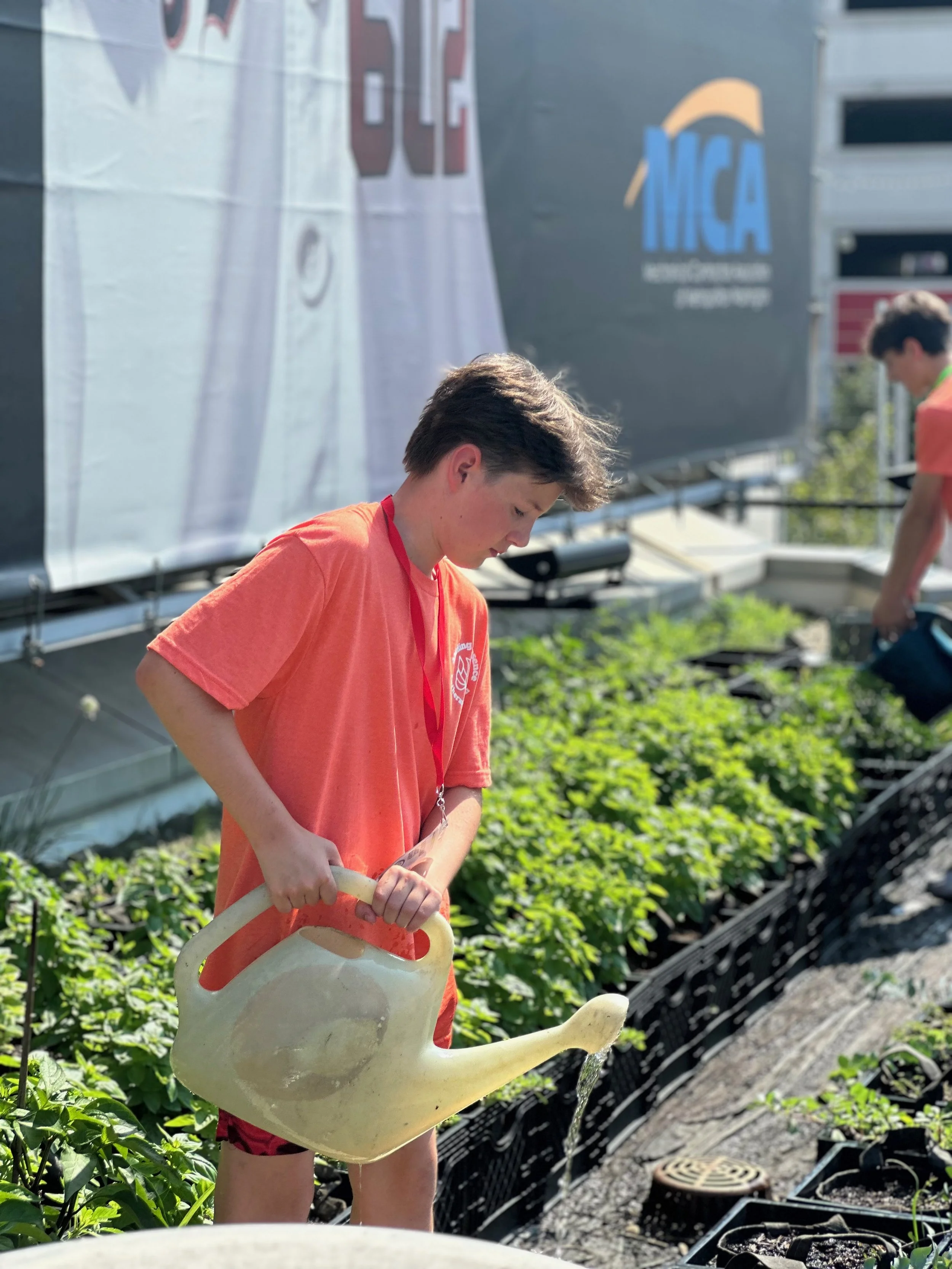 Amazing Race Camp 2025