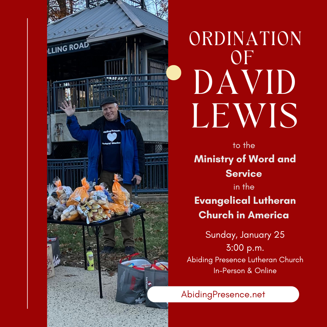 Ordination of David Lewis