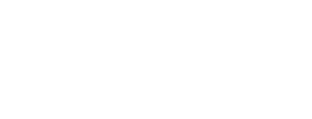 South Wind Logo Landscape White.png