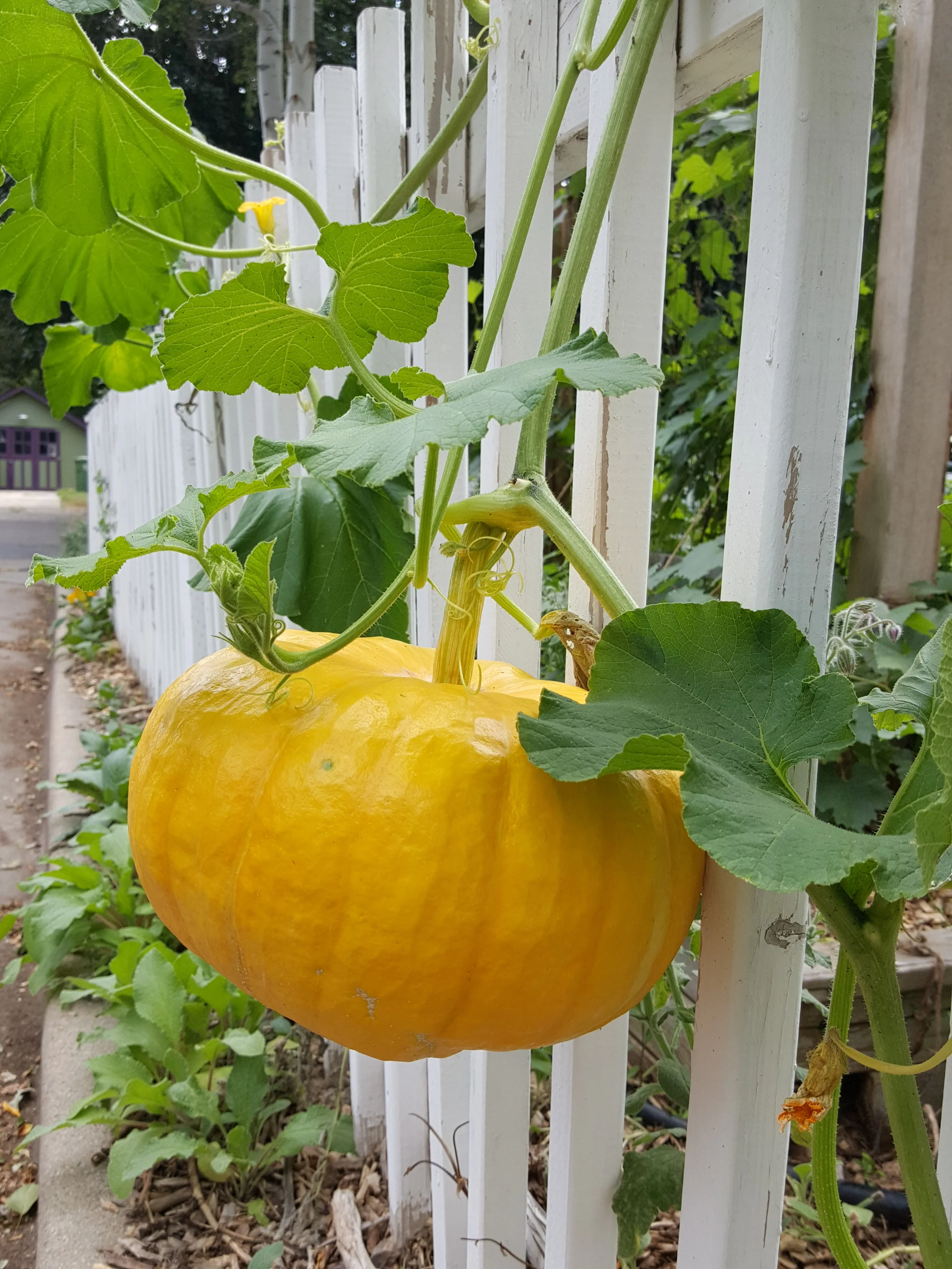 20160823_101204.jpg