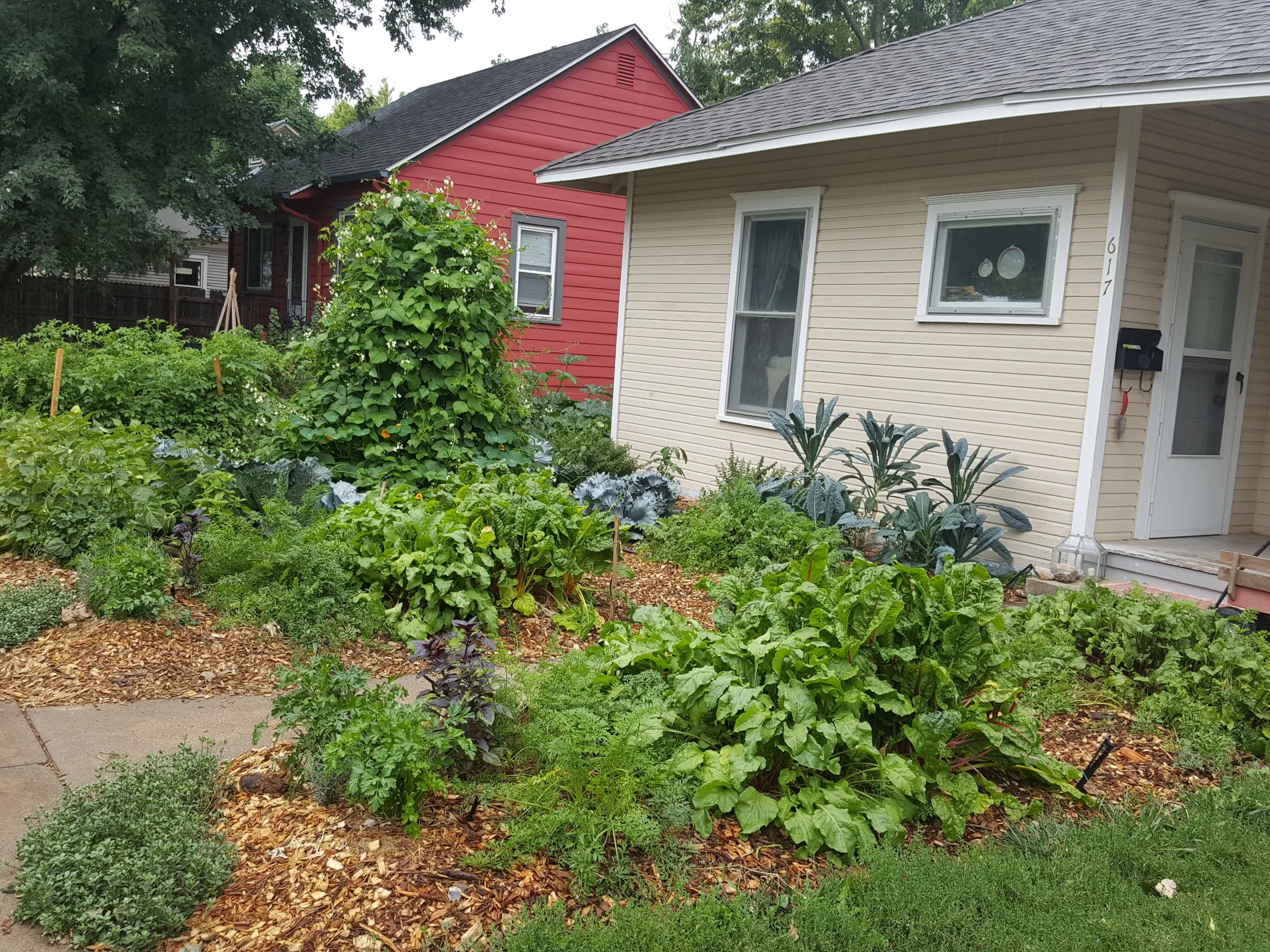 20160824_112115.jpg