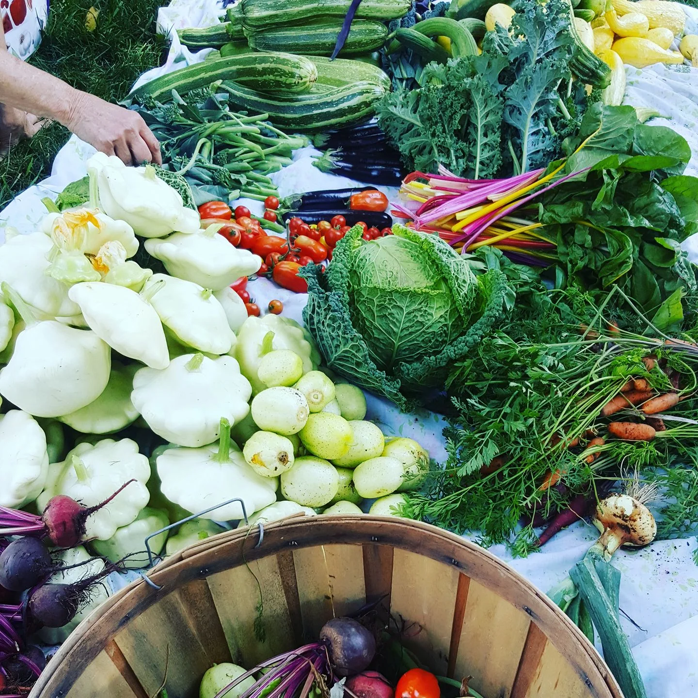 plenty veg.jpg