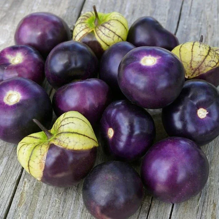 PurpleTomatillo.jpg.webp