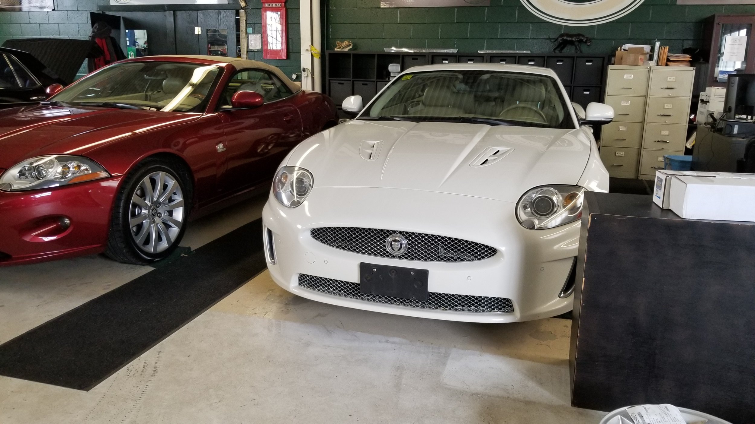 20190410_124556.jpg