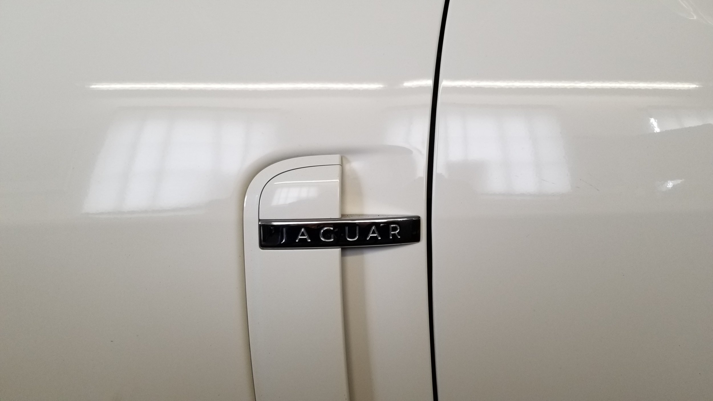 20190410_124741.jpg