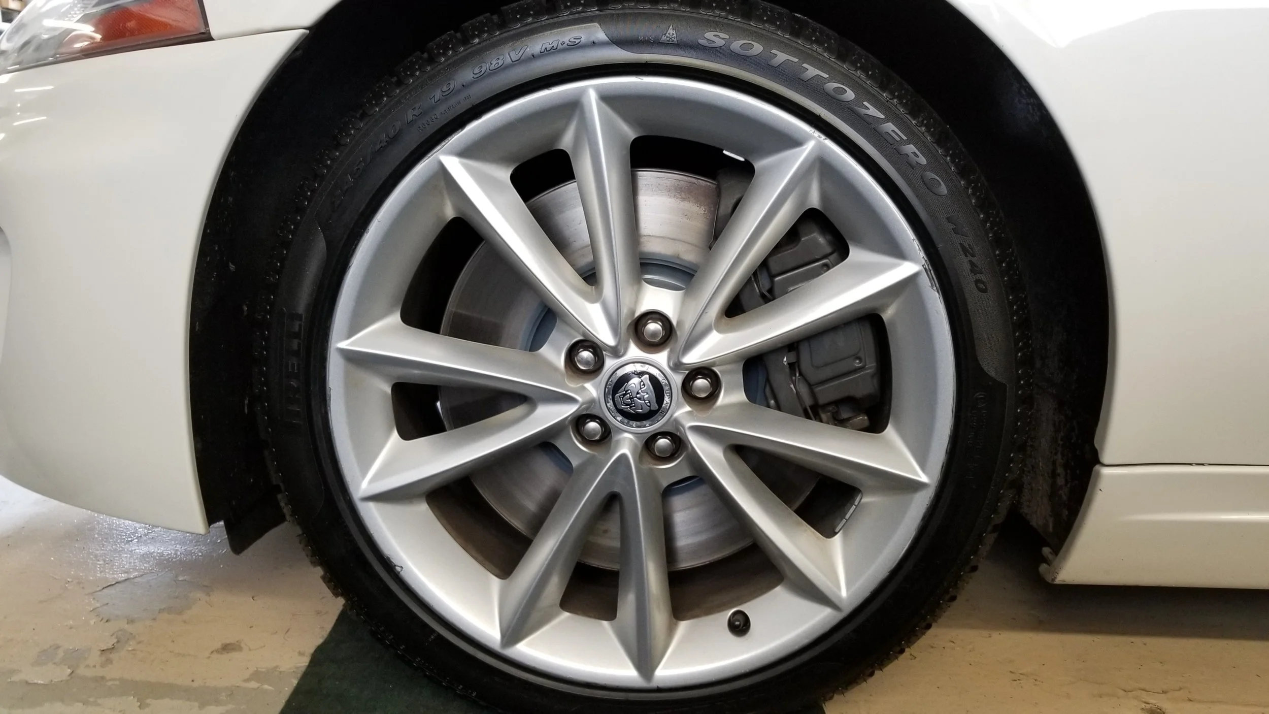 20190410_124745.jpg