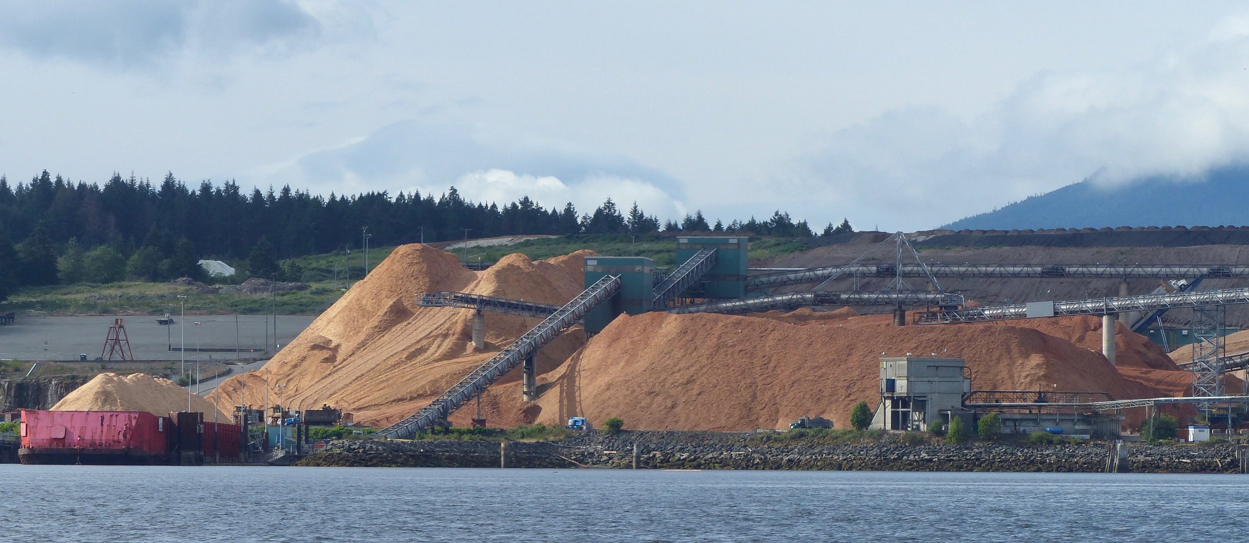 Nanaimo pulp mill waste sawdust - a perfect source for producing drop-in Renewable Diesel (Photo by P. Wilcox)