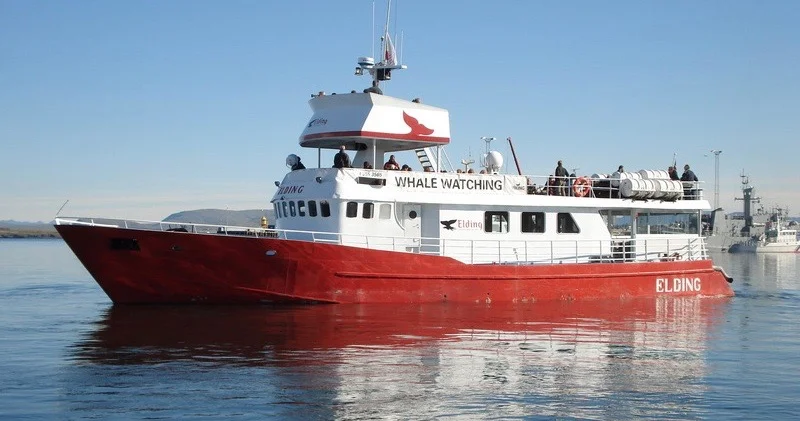 Icelandic Hydrogen-powered Whale Watching Boat