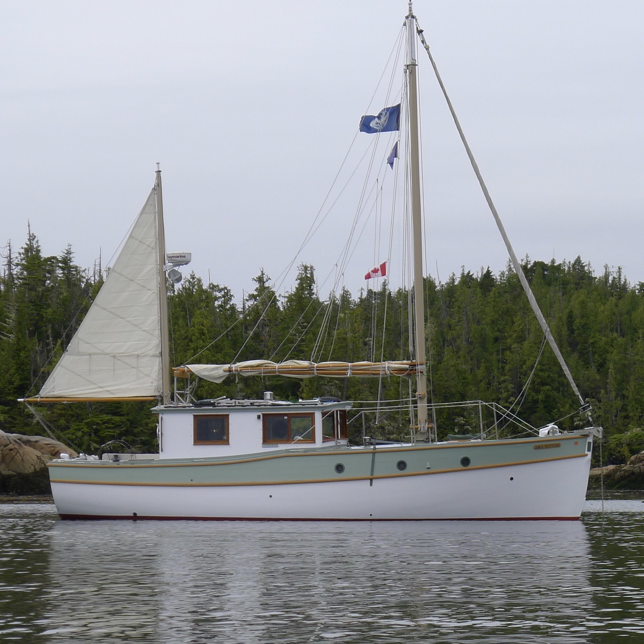 AMA at anchor