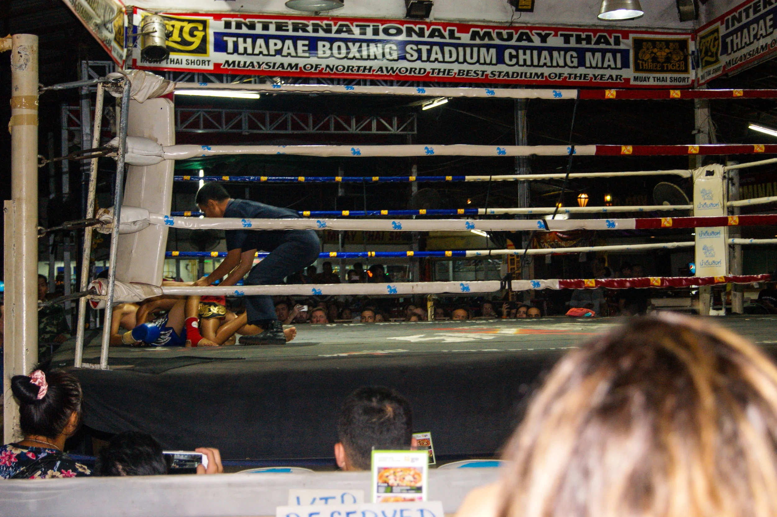 DSC04808.jpg