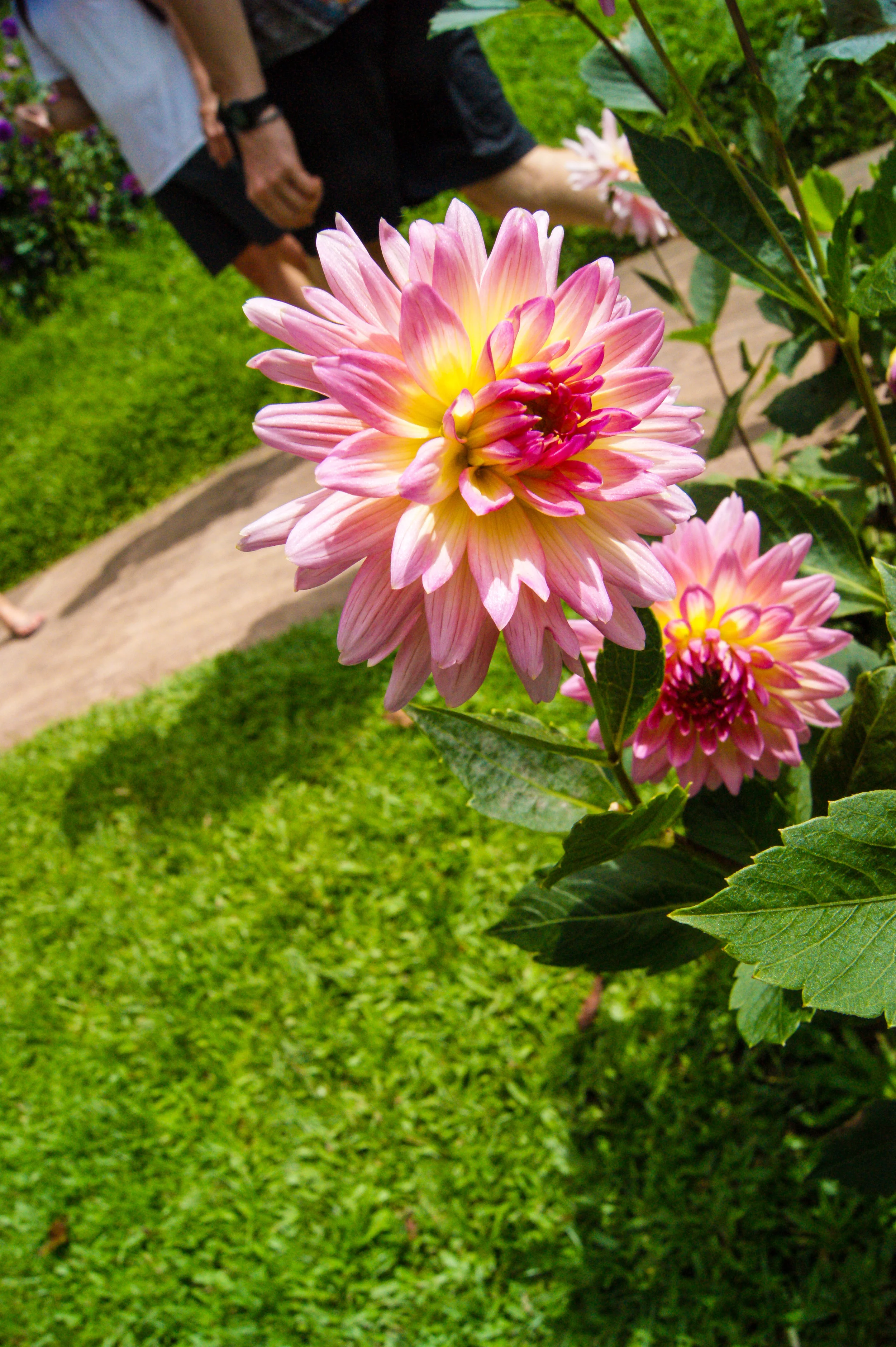 DSC05392.jpg