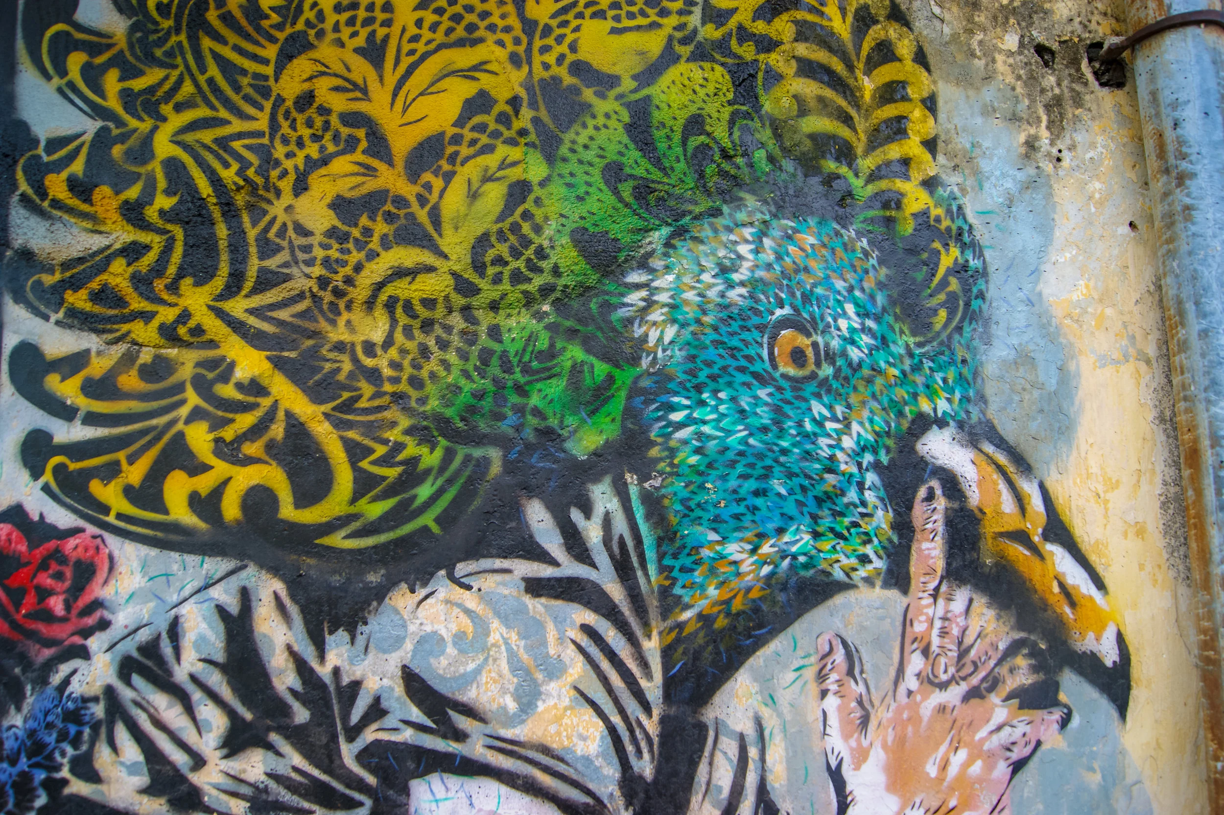 DSC01695.jpg
