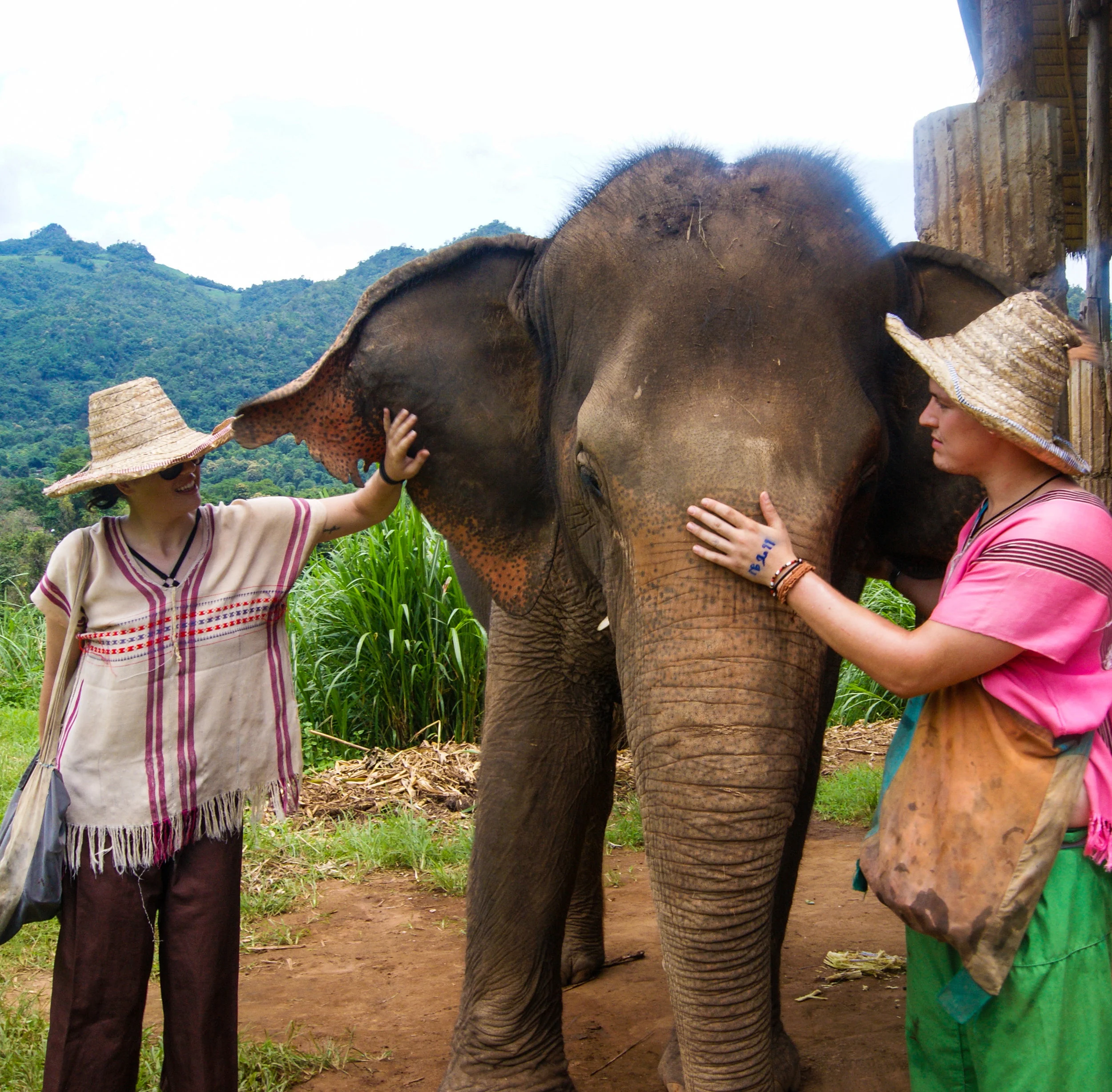 Happy Elephant Home - Chiang Mai