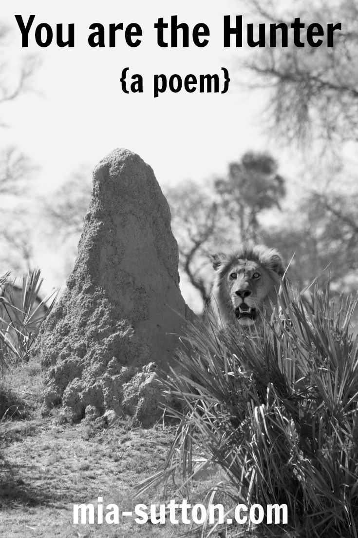 Poems about being free | poems about being wild | poetry | poems about courage | mia-sutton.com