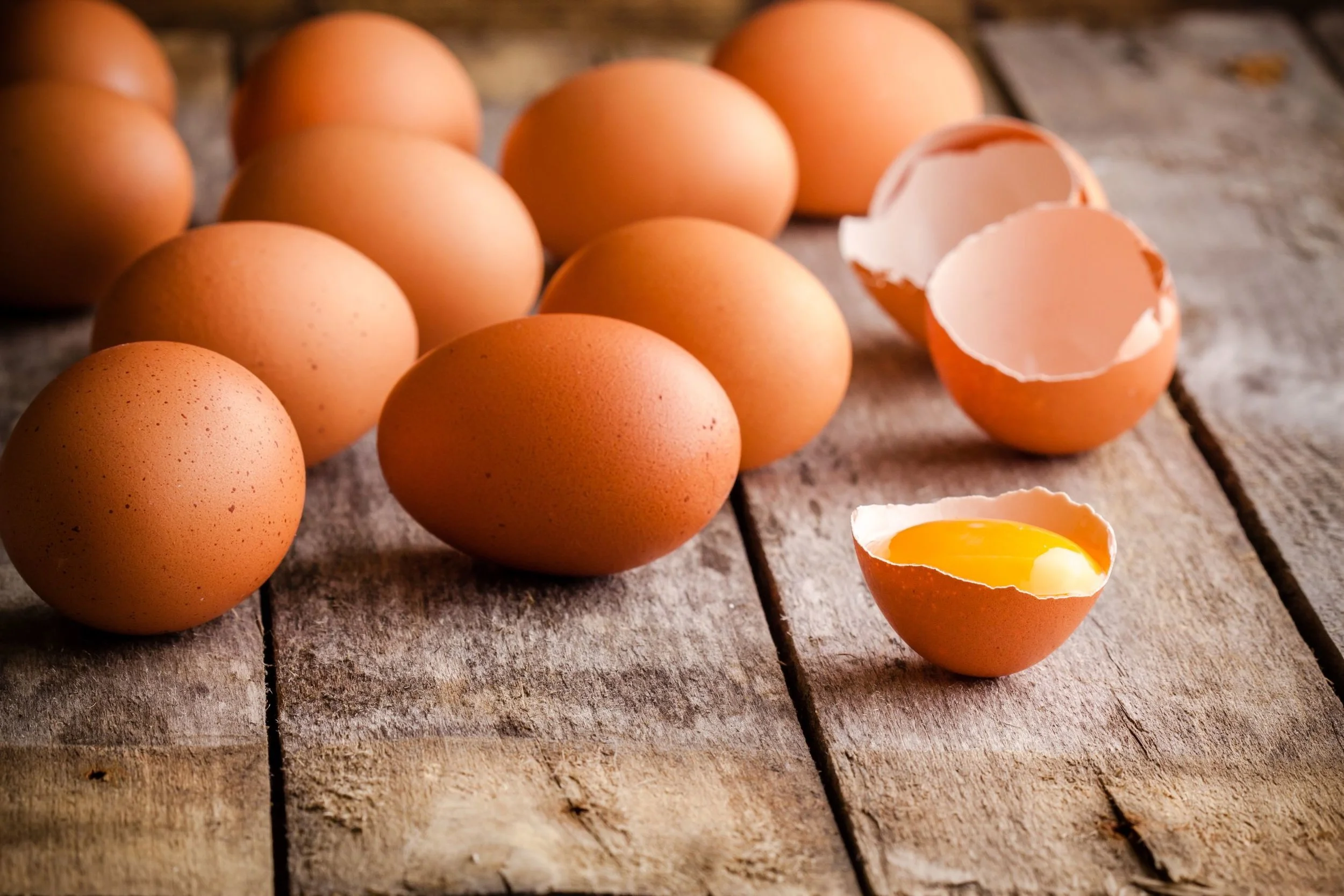 Eggs.jpg